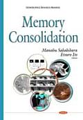 Memory Consolidation