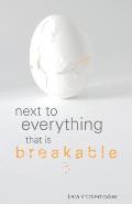 Next to Everything that is Breakable
