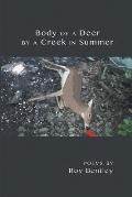 Body of a Deer by a Creek in Summer