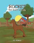 Rocket, the Race Horse