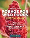 How to Forage for Wild Foods Without Dying: An Absolute Beginner's Guide to Identifying 40 Edible Wild Plants