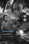 Indivisible new edition
