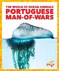 Portuguese Man-Of-Wars