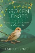 Broken Lenses Volume 3: Experiencing God's Freedom in a World of Sin
