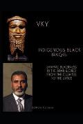 Indigenous Black Iraqis: Shaping Blackness in the Arab World From the Cushites to the Zanjs