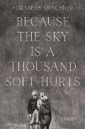 Because the Sky is a Thousand Soft Hurts