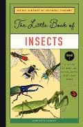 Little Book of Insects A Kids Guide to the Creepy & Crawly