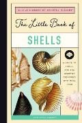 Little Book of Shells A Kids Guide to Shells & the Amazing Mollusks Who Make Them