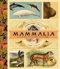 Mammalia: An Illustrated Guide to the World of Mammals