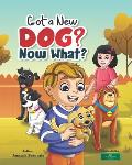 Got a New Dog? Now What?