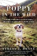 Poppy in the Wild A Lost Dog Fifteen Hundred Acres of Wilderness & the Dogged Determination that Brought Her Home