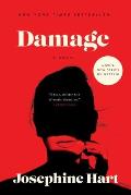 Damage A Novel