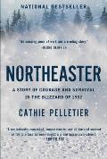 Northeaster A Story of Courage & Survival in the Blizzard of 1952