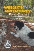 Wesley's Adventures: Mystery Stories