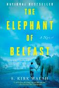 Elephant of Belfast A Novel