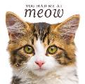 You Had Me at Meow