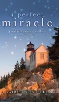 A Perfect Miracle: Jacobs Landing Series: Book One