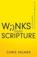 Winks from Scripture: Understanding God's Subtle Work Among Us