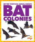 Bat Colonies