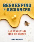 Beekeeping for Beginners: How to Raise Your First Bee Colonies