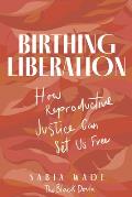 Birthing Liberation How Reproductive Justice Can Set Us Free
