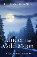 Under the Cold Moon