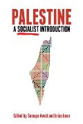 Palestine A Socialist Introduction