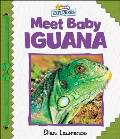 Active Minds Explorers: Meet Baby Iguana