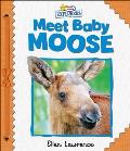 Active Minds Explorers: Meet Baby Moose