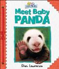 Active Minds Explorers: Meet Baby Panda
