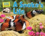 Snakes Life
