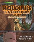 Houdini's Big Adventures: Finding a Forever Home