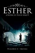 Esther: Hiding in Plain Sight