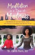 Meditation in a Time of Madness: A Guidebook for Talented Tweens, Teens, Their Parents & Guardians Who Need to Thrive