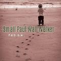 Small Paul Wall Walker