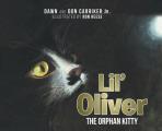Lil' Oliver the Orphan Kitty