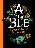 A Is for Bee An Alphabet Book in Translation