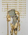 Tallur L.N.: Interference Fringe