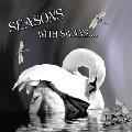 Seasons with Swans