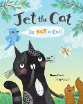 Jet the Cat Is Not a Cat