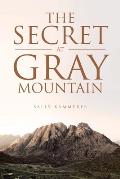The Secret at Gray Mountain