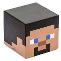 Minecraft: Steve Block Stationery Set