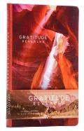 Gratitude Revealed Journal (Gratitude Journal, Gratitude Gift, Guided Journal)