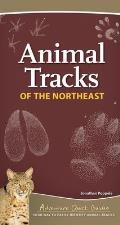 Animal Tracks of the Northeast: Your Way to Easily Identify Animal Tracks