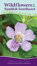 Wildflowers of the South & Southeast: Your Way to Easily Identify Wildflowers