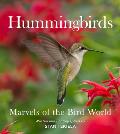 Hummingbirds Marvels of the Bird World