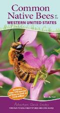 Common Native Bees of the Western United States