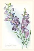 The Vintage Journal California Wildflowers, Larkspur