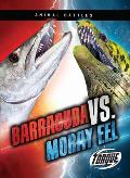 Barracuda vs. Moray Eel