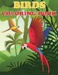 Birds Coloring Book: Beautiful Bird Designs, Fun Color Pages For Kids, Girls Birthday Gift, Journal